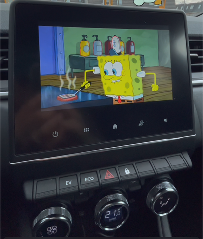AIVEX for Renault Cars